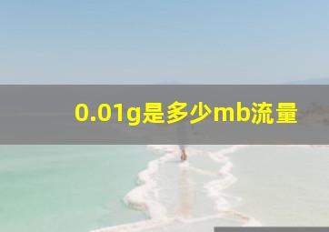 0.01g是多少mb流量