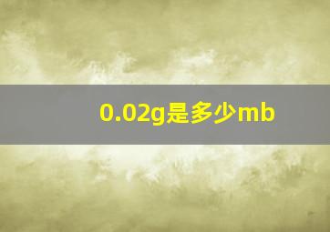 0.02g是多少mb