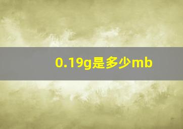 0.19g是多少mb