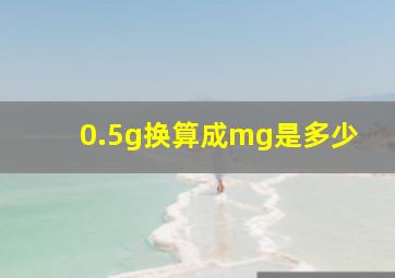 0.5g换算成mg是多少