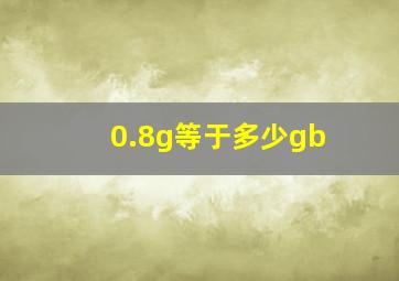 0.8g等于多少gb