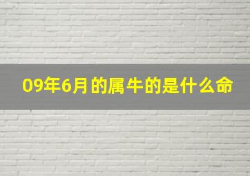 09年6月的属牛的是什么命