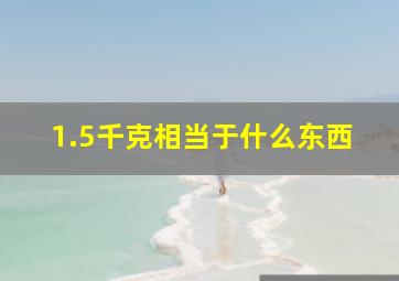 1.5千克相当于什么东西