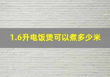 1.6升电饭煲可以煮多少米