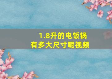 1.8升的电饭锅有多大尺寸呢视频