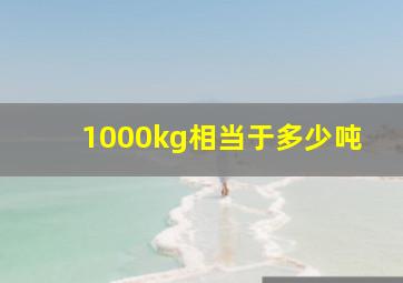 1000kg相当于多少吨