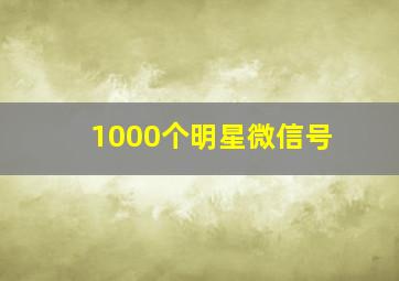 1000个明星微信号