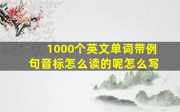 1000个英文单词带例句音标怎么读的呢怎么写