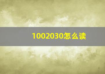 1002030怎么读