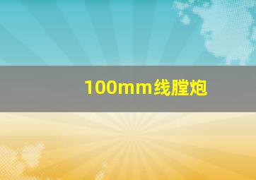 100mm线膛炮