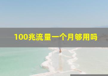 100兆流量一个月够用吗