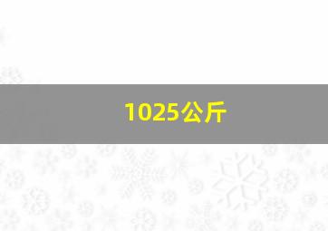 1025公斤