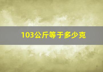 103公斤等于多少克