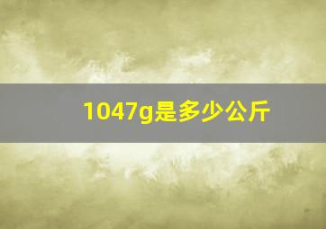 1047g是多少公斤