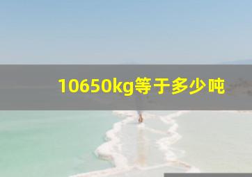 10650kg等于多少吨