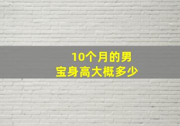 10个月的男宝身高大概多少