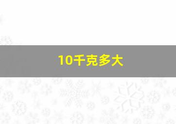 10千克多大