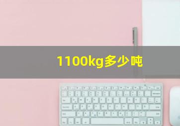 1100kg多少吨