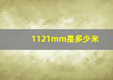 1121mm是多少米