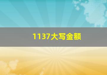 1137大写金额