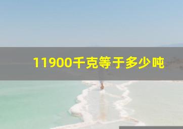 11900千克等于多少吨