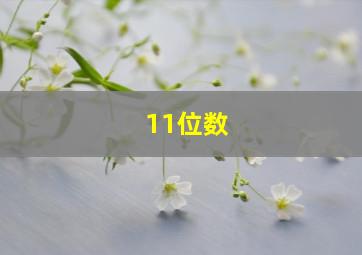 11位数