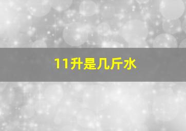 11升是几斤水