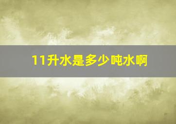 11升水是多少吨水啊