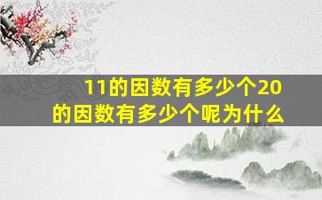 11的因数有多少个20的因数有多少个呢为什么