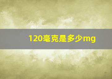 120毫克是多少mg