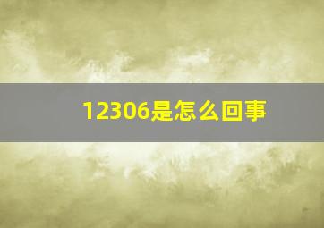 12306是怎么回事