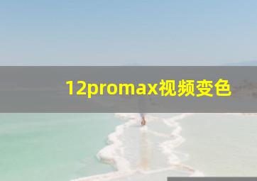 12promax视频变色