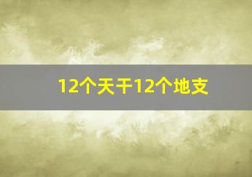 12个天干12个地支