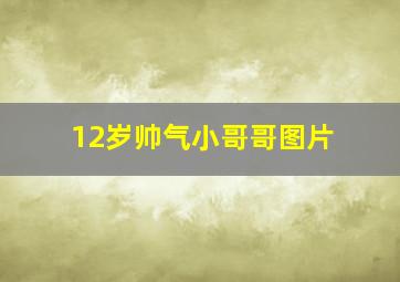 12岁帅气小哥哥图片