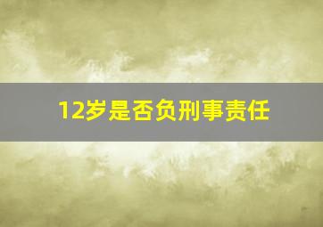 12岁是否负刑事责任