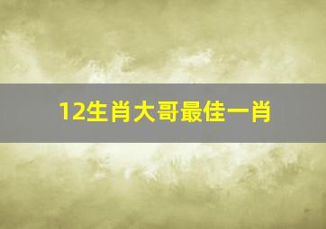 12生肖大哥最佳一肖