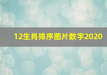 12生肖排序图片数字2020