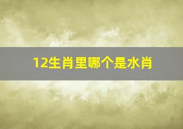 12生肖里哪个是水肖