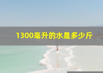 1300毫升的水是多少斤