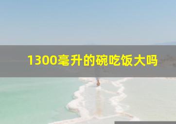 1300毫升的碗吃饭大吗