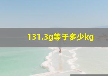 131.3g等于多少kg