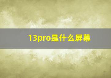 13pro是什么屏幕