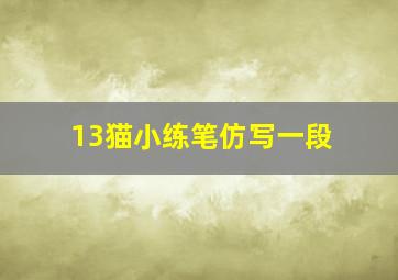 13猫小练笔仿写一段