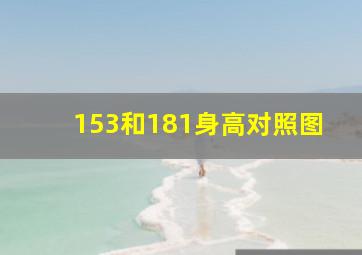 153和181身高对照图