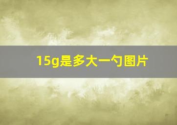 15g是多大一勺图片