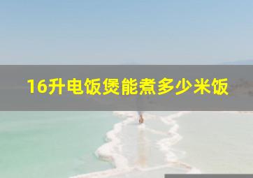 16升电饭煲能煮多少米饭