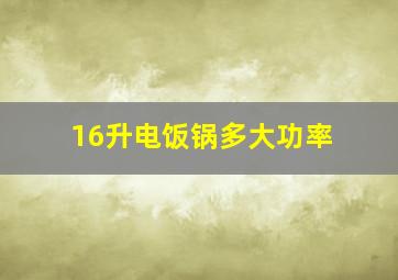 16升电饭锅多大功率