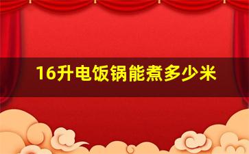 16升电饭锅能煮多少米