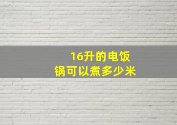 16升的电饭锅可以煮多少米