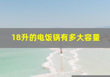 18升的电饭锅有多大容量